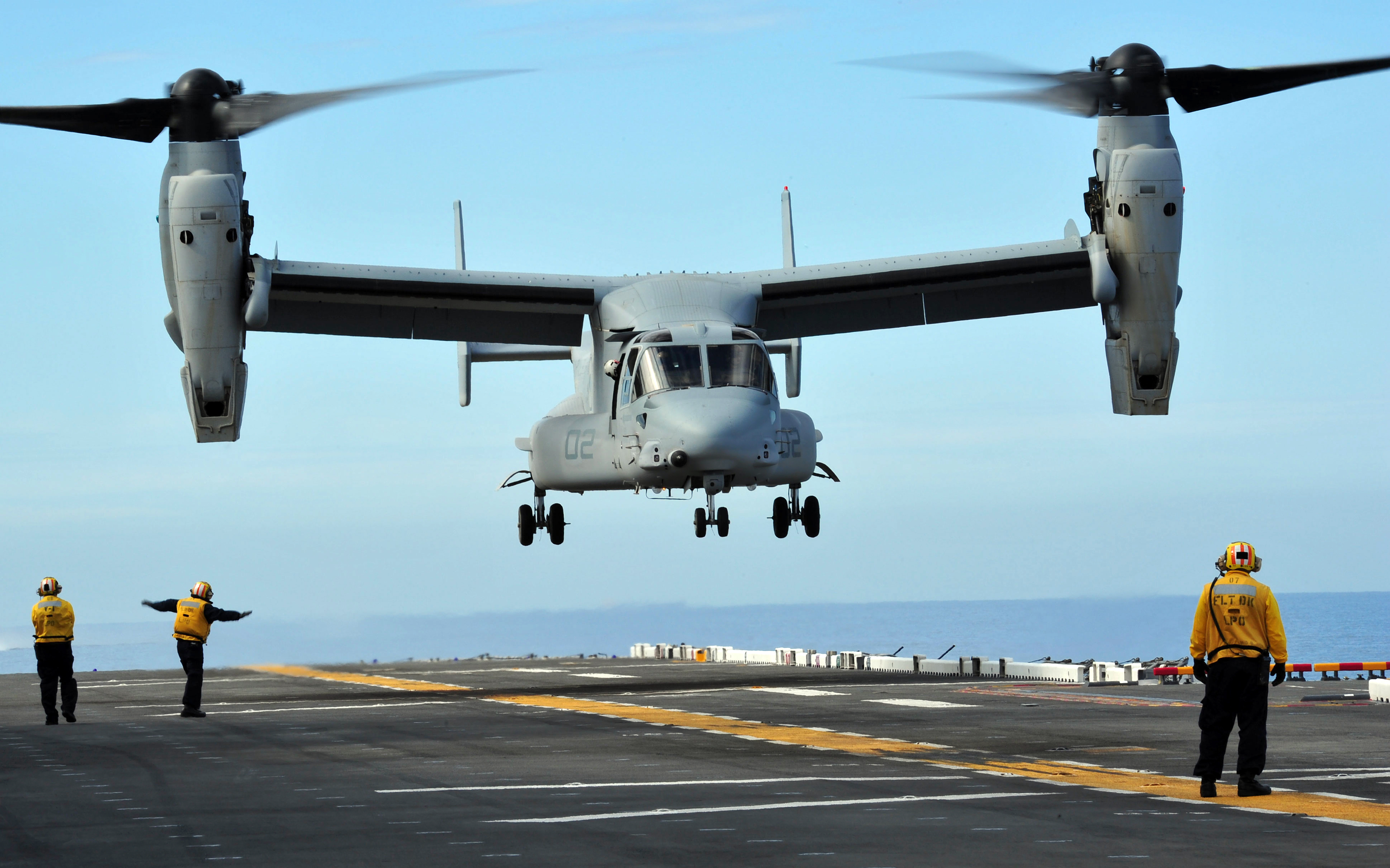 The Osprey Fake Id